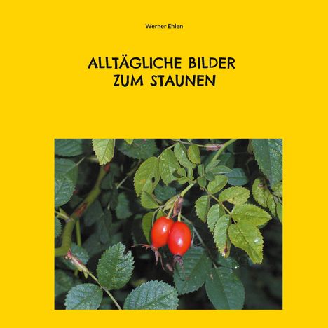 Werner Ehlen: Alltägliche Bilder zum Staunen, Buch