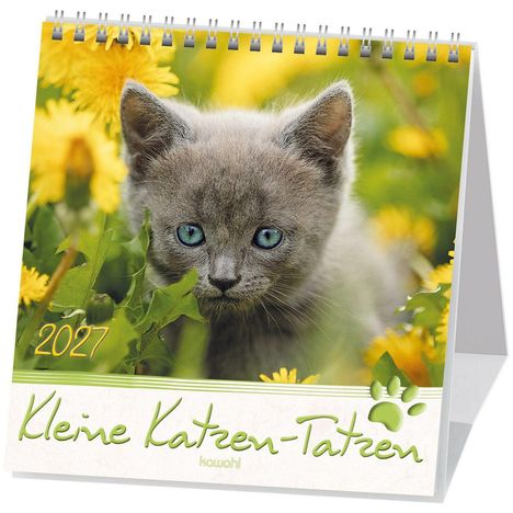 2027, Kleine Katzen-Tatzen, kawohl. Ein graues Kätzchen mit blauen Augen sitzt in einem Feld gelber Blumen.