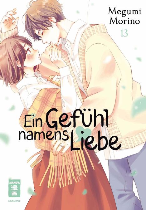 Megumi Morino: Ein Gefühl namens Liebe 13, Buch