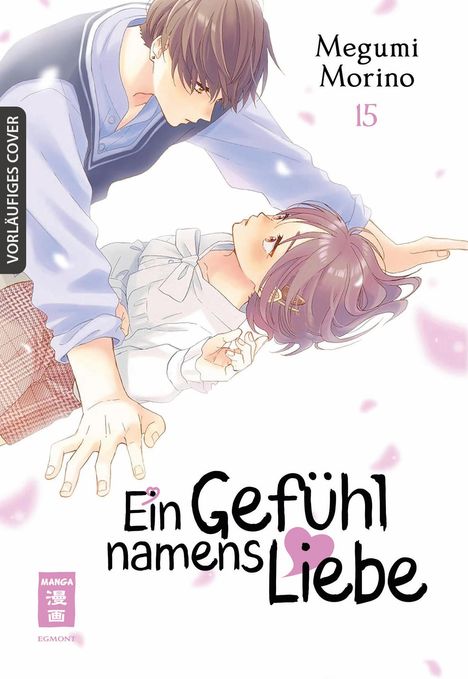 Megumi Morino: Ein Gefühl namens Liebe 15, Buch