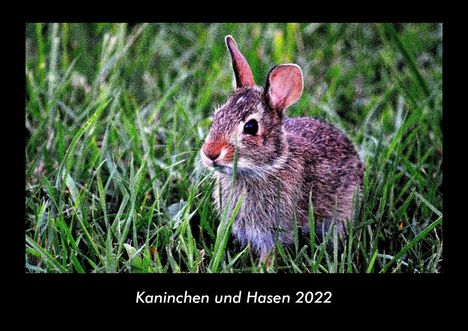 Tobias Becker: Kaninchen und Hasen 2022 Fotokalender DIN A3, Kalender