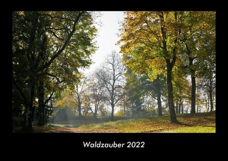 Tobias Becker: Waldzauber 2022 Fotokalender DIN A3, Kalender