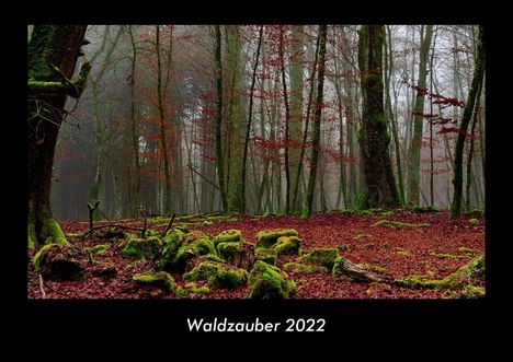 Tobias Becker: Waldzauber 2022 Fotokalender DIN A3, Kalender