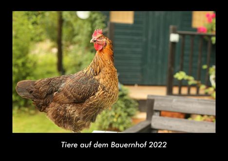 Tobias Becker: Tiere auf dem Bauernhof 2022 Fotokalender DIN A3, Kalender