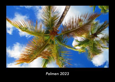 Tobias Becker: Palmen 2023 Fotokalender DIN A3, Kalender