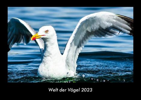 Tobias Becker: Welt der Vögel 2023 Fotokalender DIN A3, Kalender