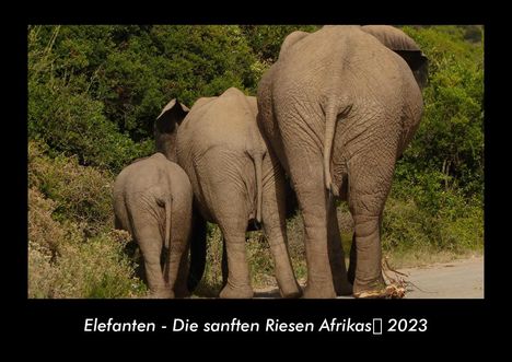 Tobias Becker: Elefanten - Die sanften Riesen Afrikas 2023 Fotokalender DIN A3, Kalender