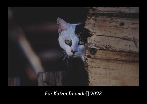 Tobias Becker: Für Katzenfreunde 2023 Fotokalender DIN A3, Kalender