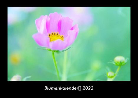 Tobias Becker: Blumenkalender 2023 Fotokalender DIN A3, Kalender