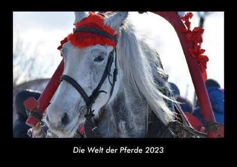 Tobias Becker: Die Welt der Pferde 2023 Fotokalender DIN A3, Kalender