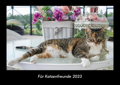 Tobias Becker: Für Katzenfreunde 2023 Fotokalender DIN A3, Kalender