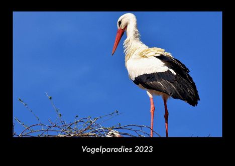 Tobias Becker: Vogelparadies 2023 Fotokalender DIN A3, Kalender
