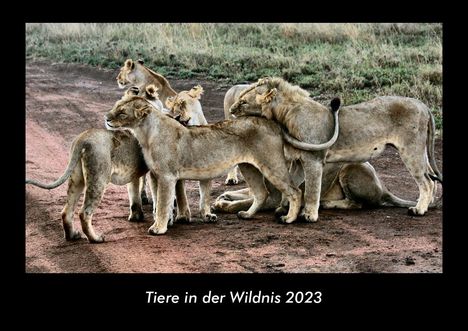 Tobias Becker: Tiere in der Wildnis 2023 Fotokalender DIN A3, Kalender