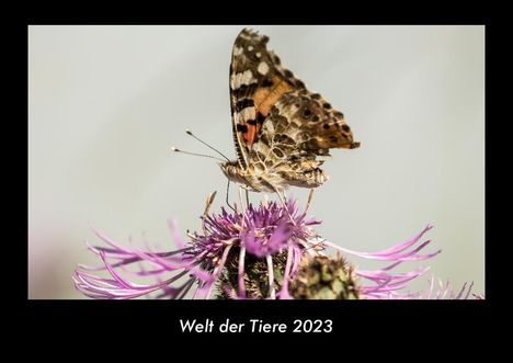 Tobias Becker: Welt der Tiere 2023 Fotokalender DIN A3, Kalender