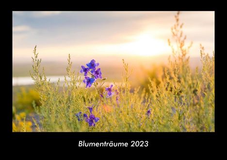 Tobias Becker: Blumenträume 2023 Fotokalender DIN A3, Kalender