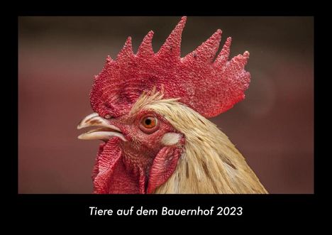 Tobias Becker: Tiere auf dem Bauernhof 2023 Fotokalender DIN A3, Kalender