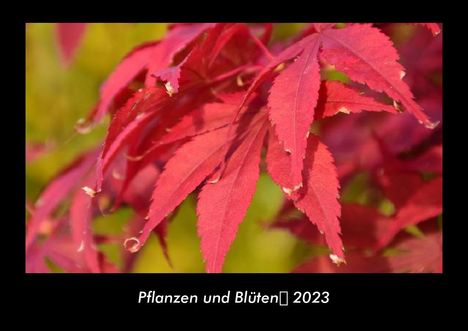 Tobias Becker: Pflanzen und Blüten 2023 Fotokalender DIN A3, Kalender