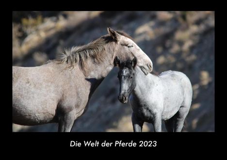 Tobias Becker: Die Welt der Pferde 2023 Fotokalender DIN A3, Kalender