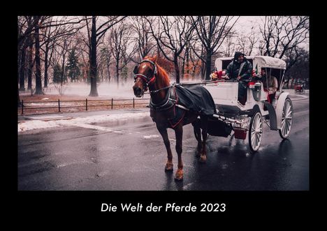 Tobias Becker: Die Welt der Pferde 2023 Fotokalender DIN A3, Kalender