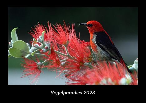 Tobias Becker: Vogelparadies 2023 Fotokalender DIN A3, Kalender