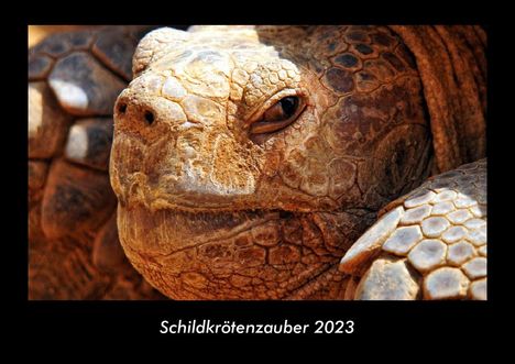Tobias Becker: Schildkrötenzauber 2023 Fotokalender DIN A3, Kalender