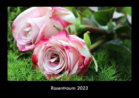 Tobias Becker: Rosentraum 2023 Fotokalender DIN A3, Kalender