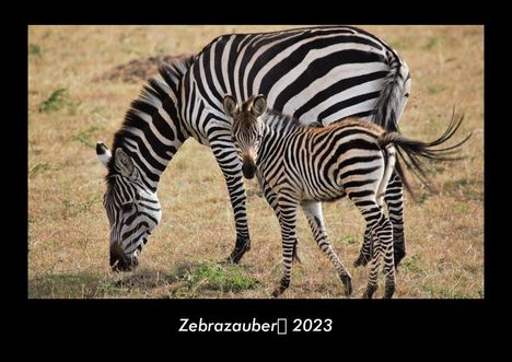 Tobias Becker: Zebrazauber 2023 Fotokalender DIN A3, Kalender