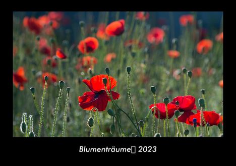 Tobias Becker: Blumenträume 2023 Fotokalender DIN A3, Kalender