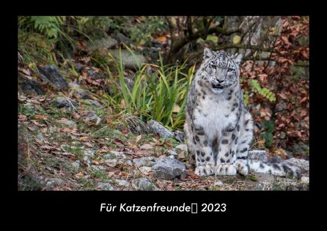 Tobias Becker: Für Katzenfreunde 2023 Fotokalender DIN A3, Kalender