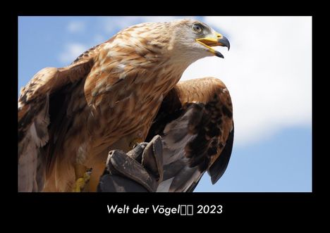 Tobias Becker: Welt der Vögel 2023 Fotokalender DIN A3, Kalender