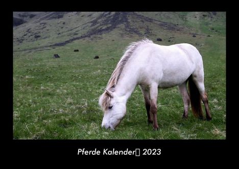 Tobias Becker: Pferde Kalender 2023 Fotokalender DIN A3, Kalender