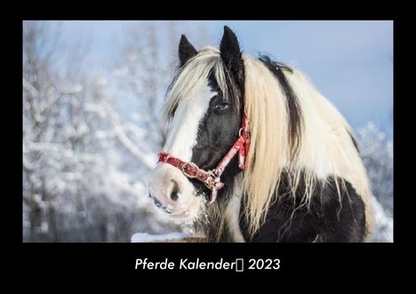 Tobias Becker: Pferde Kalender 2023 Fotokalender DIN A3, Kalender