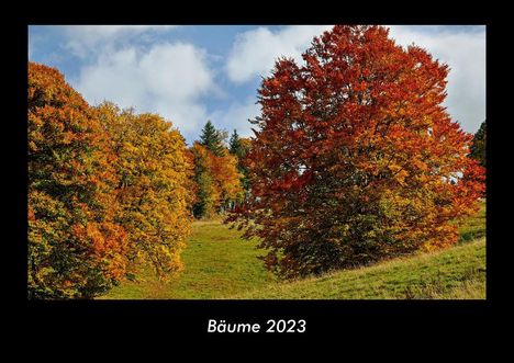 Tobias Becker: Bäume 2023 Fotokalender DIN A3, Kalender