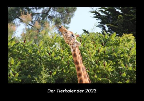 Tobias Becker: Der Tierkalender 2023 Fotokalender DIN A3, Kalender