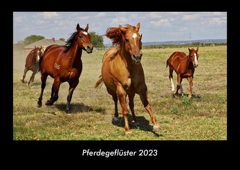 Tobias Becker: Pferdegeflüster 2023 Fotokalender DIN A3, Kalender