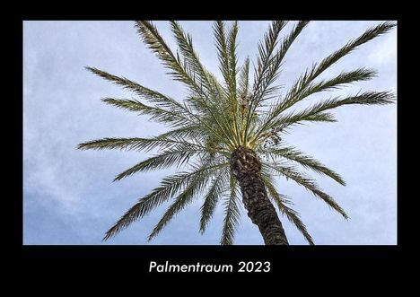 Tobias Becker: Palmentraum 2023 Fotokalender DIN A3, Kalender