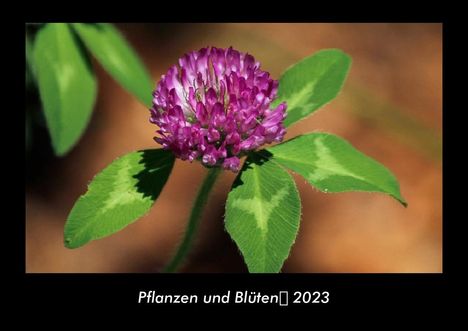 Tobias Becker: Pflanzen und Blüten 2023 Fotokalender DIN A3, Kalender