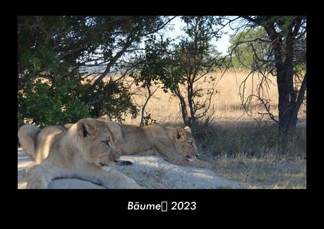 Tobias Becker: Bäume 2023 Fotokalender DIN A3, Kalender