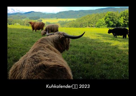 Tobias Becker: Kuhkalender 2023 Fotokalender DIN A3, Kalender