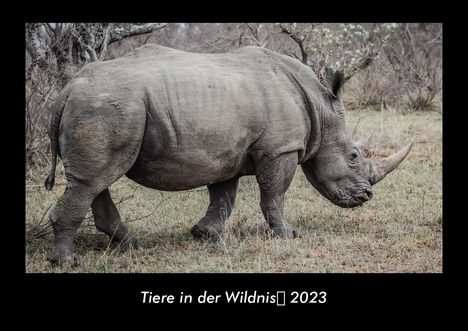 Tobias Becker: Tiere in der Wildnis 2023 Fotokalender DIN A3, Kalender