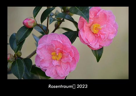 Tobias Becker: Rosentraum 2023 Fotokalender DIN A3, Kalender