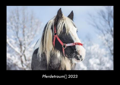 Tobias Becker: Pferdetraum 2023 Fotokalender DIN A3, Kalender