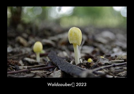 Tobias Becker: Waldzauber 2023 Fotokalender DIN A3, Kalender