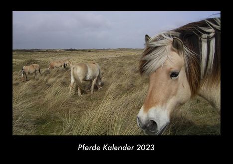 Tobias Becker: Pferde Kalender 2023 Fotokalender DIN A3, Kalender