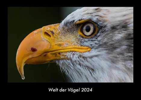 Tobias Becker: Welt der Vögel 2024 Fotokalender DIN A3, Kalender