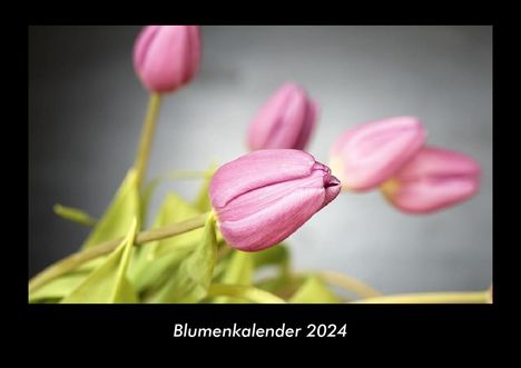 Tobias Becker: Blumenkalender 2024 Fotokalender DIN A3, Kalender