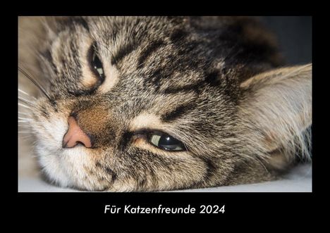 Tobias Becker: Für Katzenfreunde 2024 Fotokalender DIN A3, Kalender