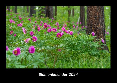 Tobias Becker: Blumenkalender 2024 Fotokalender DIN A3, Kalender