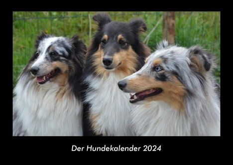 Tobias Becker: Der Hundekalender 2024 Fotokalender DIN A3, Kalender