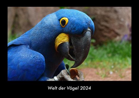 Tobias Becker: Welt der Vögel 2024 Fotokalender DIN A3, Kalender